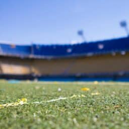 Close up of turf in an empty football stadium